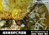 咸菜番茄虾仁鸡蛋面的做法