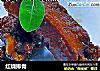 红烧排骨的做法