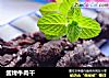 酱烤牛肉干的做法