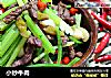 小炒牛肉的做法