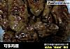 可乐鸡翅做法（395）的做法
