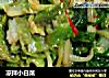 凉拌小白菜的做法