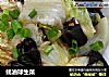 蚝油球生菜的做法