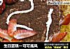 生日蛋糕—可可戚风的做法