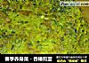 春季养身菜－香椿煎蛋的做法