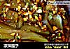凉拌茄子的做法
