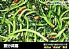 素炒茼蒿的做法