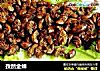 孜然金蝉的做法