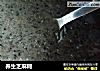 养生芝麻糊的做法