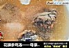 花旗参鸡汤——母亲节最好的礼物的做法