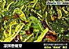 凉拌香椿芽的做法