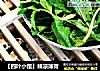【四叶小馆】辣凉薄荷的做法
