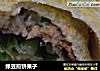 绿豆煎饼果子的做法