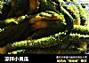 凉拌小黄瓜的做法