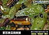 紫苏黄瓜烧黄鳝的做法