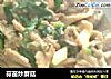 蒜苗炒蘑菇的做法