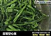 蒜蓉空心菜的做法