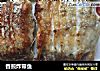 香煎炸带鱼的做法