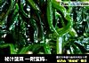 秘汁菠菜 —附宝妈凉拌油的做法的做法