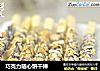 巧克力随心饼干棒的做法