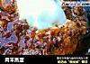 肉末蒸蛋的做法