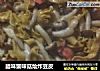 腊味蟹味菇烩炸豆皮的做法