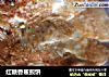 红糖香蕉煎饼的做法