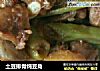 土豆排骨炖豆角的做法