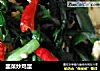 韭菜炒鸡蛋的做法