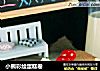 小熊彩绘蛋糕卷的做法