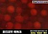 夏日凉饮-杨梅汤的做法
