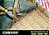 红枣糯米粽子的做法