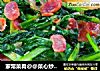家常菜肴@@菜心炒腊肠的做法