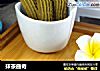 抹茶曲奇的做法