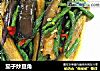 茄子炒豆角的做法