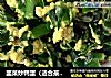 韭菜炒鸭蛋（适合孩子吃，不会再挑食~）的做法