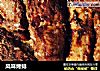 风味烤排的做法