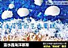 蓝水晶海洋慕斯的做法