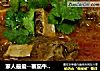 家人最爱--蕃茄牛腩浓汤（有点罗宋汤的调调）的做法