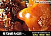冬天的给力佳肴--南乳猪蹄的做法