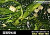 蒜蓉空心菜的做法