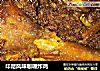 印尼风味咖喱炸鸡的做法