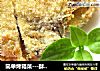 简单烤箱菜---酥烤鱼排的做法