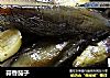 蒜香茄子的做法