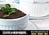 花样吃水果鲜桃酸奶盆栽的做法