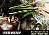 沙姜酱油蒸海鲈的做法