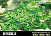 紫菜蛋花汤的做法