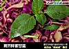 荆芥拌紫甘蓝的做法