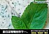 夏日凉嗖嗖的饼干——薄荷饼干的做法