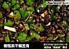 橄榄菜干煸豆角的做法
